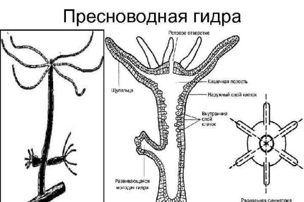 Кракен стор