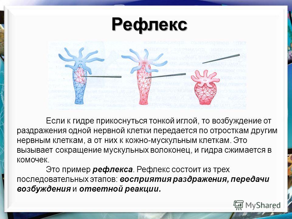 Где найти ссылку кракен